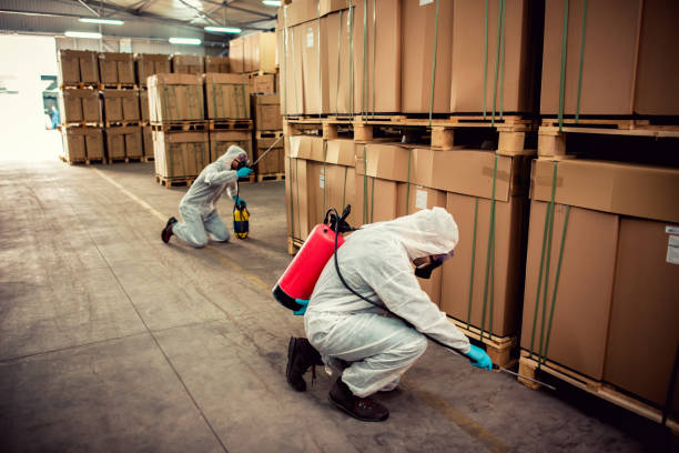 Best Ant Control Services  in Malvern, IA