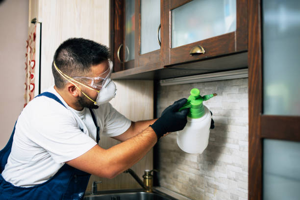 Best Pest Prevention Services  in Malvern, IA