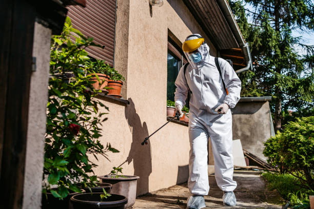 Best Pest Control Treatment  in Malvern, IA