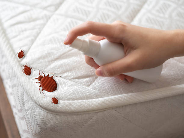 Best Best Pest Control Companies  in Malvern, IA