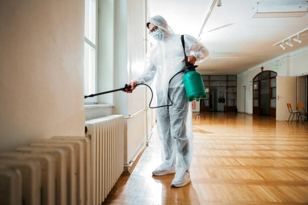 Best Termite Control Services  in Malvern, IA