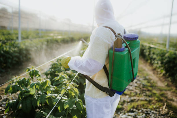 Trusted Malvern, IA Pest Control Experts